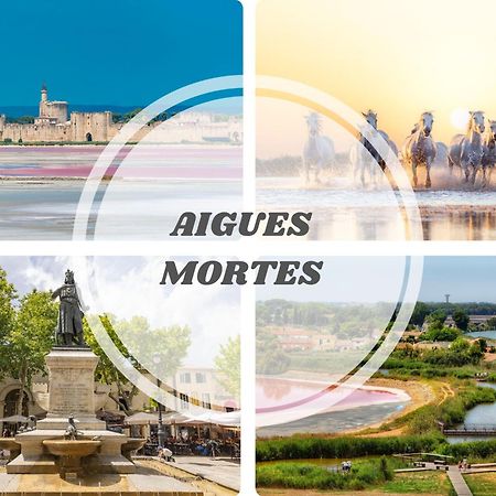 Le Dream Beach-Terrasse-Vue Mer D'Exception-Wifi-Parking - Top Pros Servicesconciergerie Палава-ле-Фло Екстериор снимка