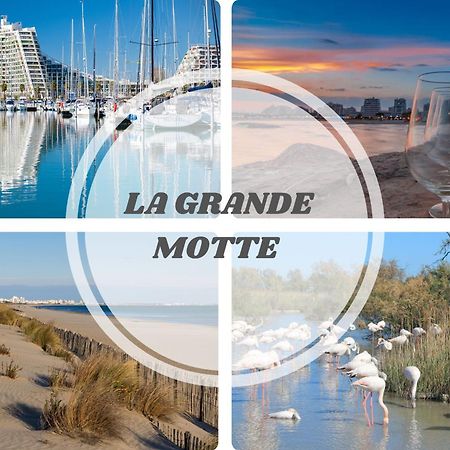 Le Dream Beach-Terrasse-Vue Mer D'Exception-Wifi-Parking - Top Pros Servicesconciergerie Палава-ле-Фло Екстериор снимка