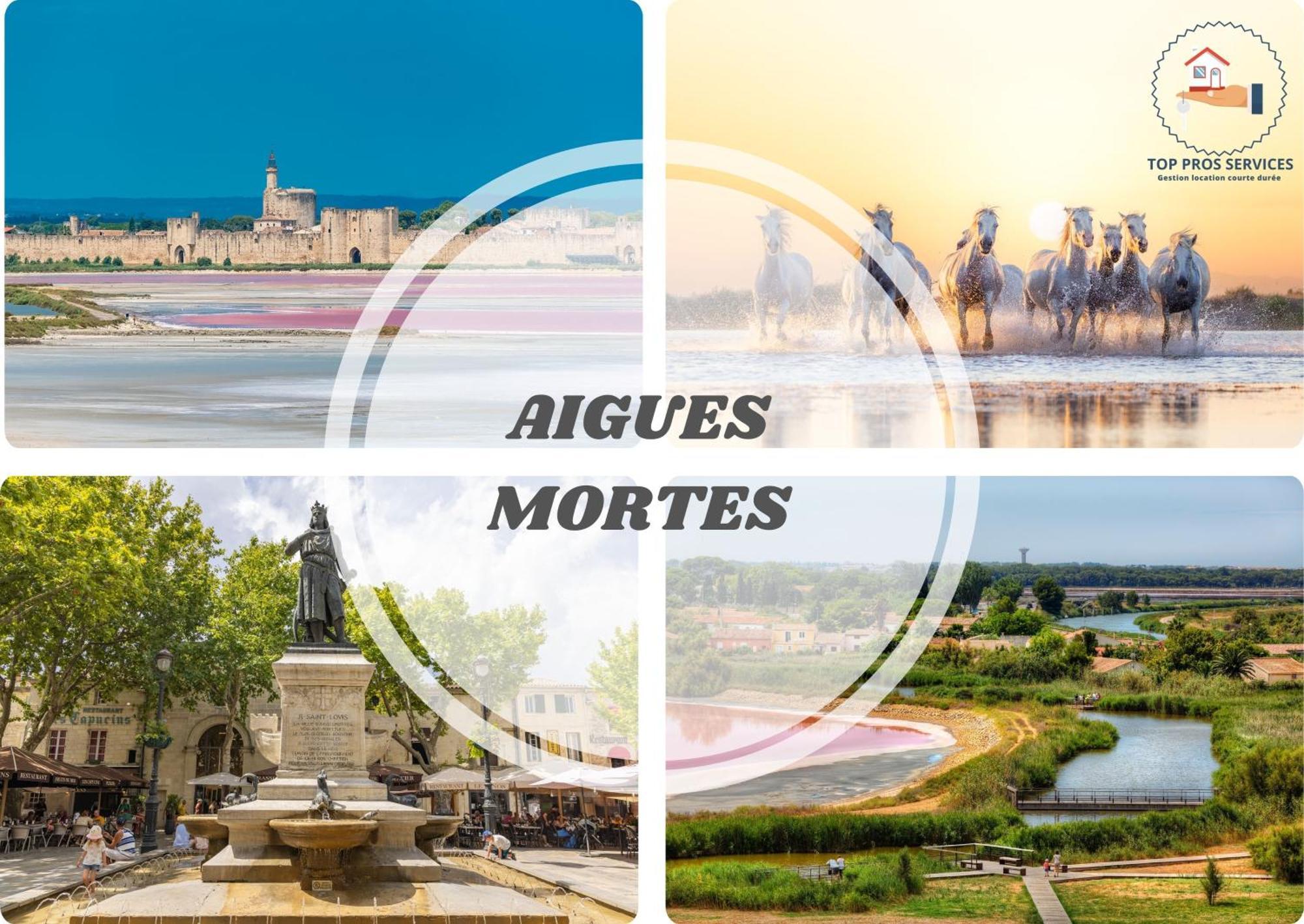 Le Dream Beach-Terrasse-Vue Mer D'Exception-Wifi-Parking - Top Pros Servicesconciergerie Палава-ле-Фло Екстериор снимка